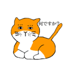 目つきの悪い猫、おハゲちゃん（個別スタンプ：26）