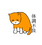 目つきの悪い猫、おハゲちゃん（個別スタンプ：29）