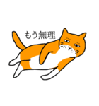 目つきの悪い猫、おハゲちゃん（個別スタンプ：30）