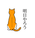 目つきの悪い猫、おハゲちゃん（個別スタンプ：31）