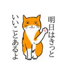 目つきの悪い猫、おハゲちゃん（個別スタンプ：32）