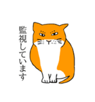 目つきの悪い猫、おハゲちゃん（個別スタンプ：33）