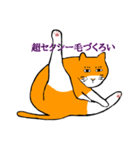 目つきの悪い猫、おハゲちゃん（個別スタンプ：36）