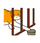 目つきの悪い猫、おハゲちゃん（個別スタンプ：40）