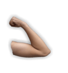 Gesture Hand（個別スタンプ：5）