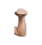 Gesture Hand（個別スタンプ：6）