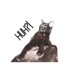 Sassy Cat Taters（個別スタンプ：5）