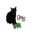 Sassy Cat Taters（個別スタンプ：8）