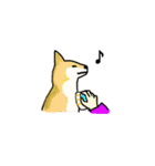 柴犬とキツネ（個別スタンプ：1）
