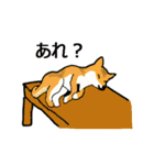 柴犬とキツネ（個別スタンプ：5）