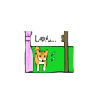 柴犬とキツネ（個別スタンプ：11）