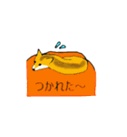 柴犬とキツネ（個別スタンプ：16）