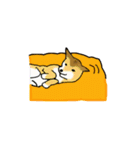 柴犬とキツネ（個別スタンプ：18）