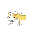 柴犬とキツネ（個別スタンプ：22）