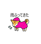 柴犬とキツネ（個別スタンプ：23）
