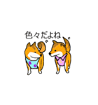 柴犬とキツネ（個別スタンプ：29）