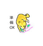 柴犬とキツネ（個別スタンプ：31）