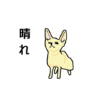 柴犬とキツネ（個別スタンプ：33）