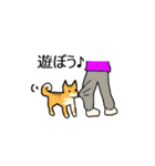 柴犬とキツネ（個別スタンプ：38）