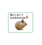 キンクマハムスターきなこ3（個別スタンプ：10）