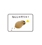 キンクマハムスターきなこ3（個別スタンプ：14）