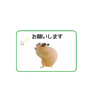 キンクマハムスターきなこ3（個別スタンプ：25）