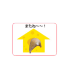 キンクマハムスターきなこ3（個別スタンプ：40）