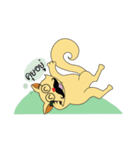 Maew mi nuad（個別スタンプ：5）