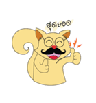 Maew mi nuad（個別スタンプ：6）