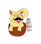 Maew mi nuad（個別スタンプ：10）