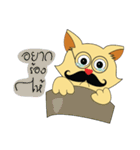 Maew mi nuad（個別スタンプ：17）