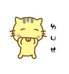 Small yellow cat（個別スタンプ：2）