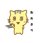 Small yellow cat（個別スタンプ：6）
