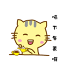 Small yellow cat（個別スタンプ：12）