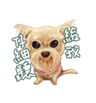Our Story ( Dog )（個別スタンプ：3）