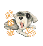 Our Story ( Dog )（個別スタンプ：4）