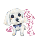 Our Story ( Dog )（個別スタンプ：6）