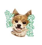 Our Story ( Dog )（個別スタンプ：7）