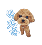 Our Story ( Dog )（個別スタンプ：8）