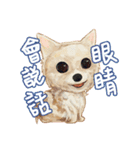 Our Story ( Dog )（個別スタンプ：10）