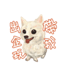 Our Story ( Dog )（個別スタンプ：11）