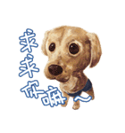 Our Story ( Dog )（個別スタンプ：12）
