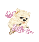 Our Story ( Dog )（個別スタンプ：14）
