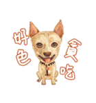 Our Story ( Dog )（個別スタンプ：17）