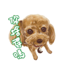 Our Story ( Dog )（個別スタンプ：18）
