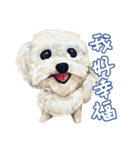 Our Story ( Dog )（個別スタンプ：19）