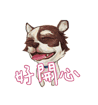 Our Story ( Dog )（個別スタンプ：20）