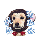 Our Story ( Dog )（個別スタンプ：22）