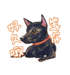 Our Story ( Dog )（個別スタンプ：23）