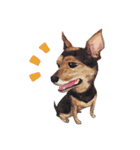 Our Story ( Dog )（個別スタンプ：24）